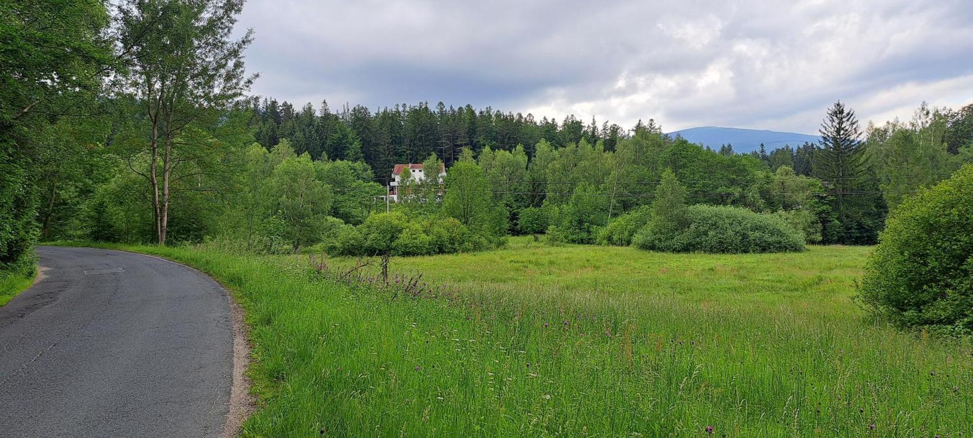 Willa Górskie Zacisze Borowice Exterior foto