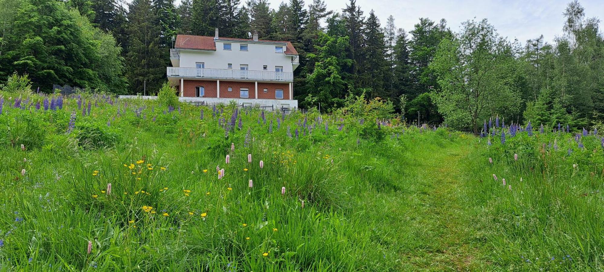 Willa Górskie Zacisze Borowice Exterior foto